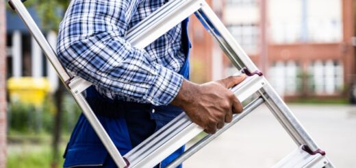 Monter z drabiną Faraone